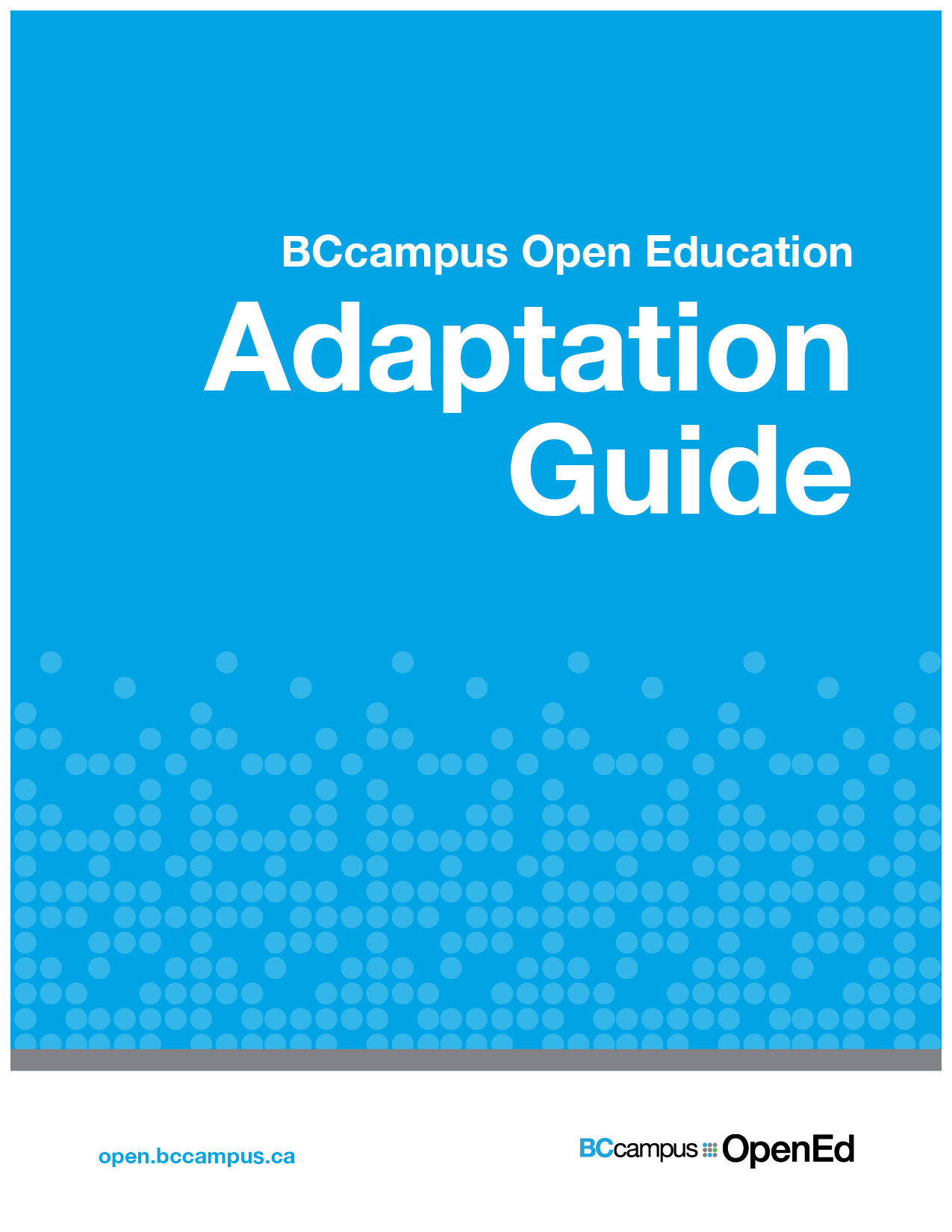 Cover image for Adaptation Guide