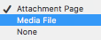 screenshot of the dropdown "attachment page, Media file, or none" options that appear when you upload an image
